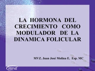 LA  HORMONA  DEL CRECIMIENTO  COMO MODULADOR  DE  LA DINAMICA FOLICULAR MVZ. Juan José Molina E.  Esp. MC 
