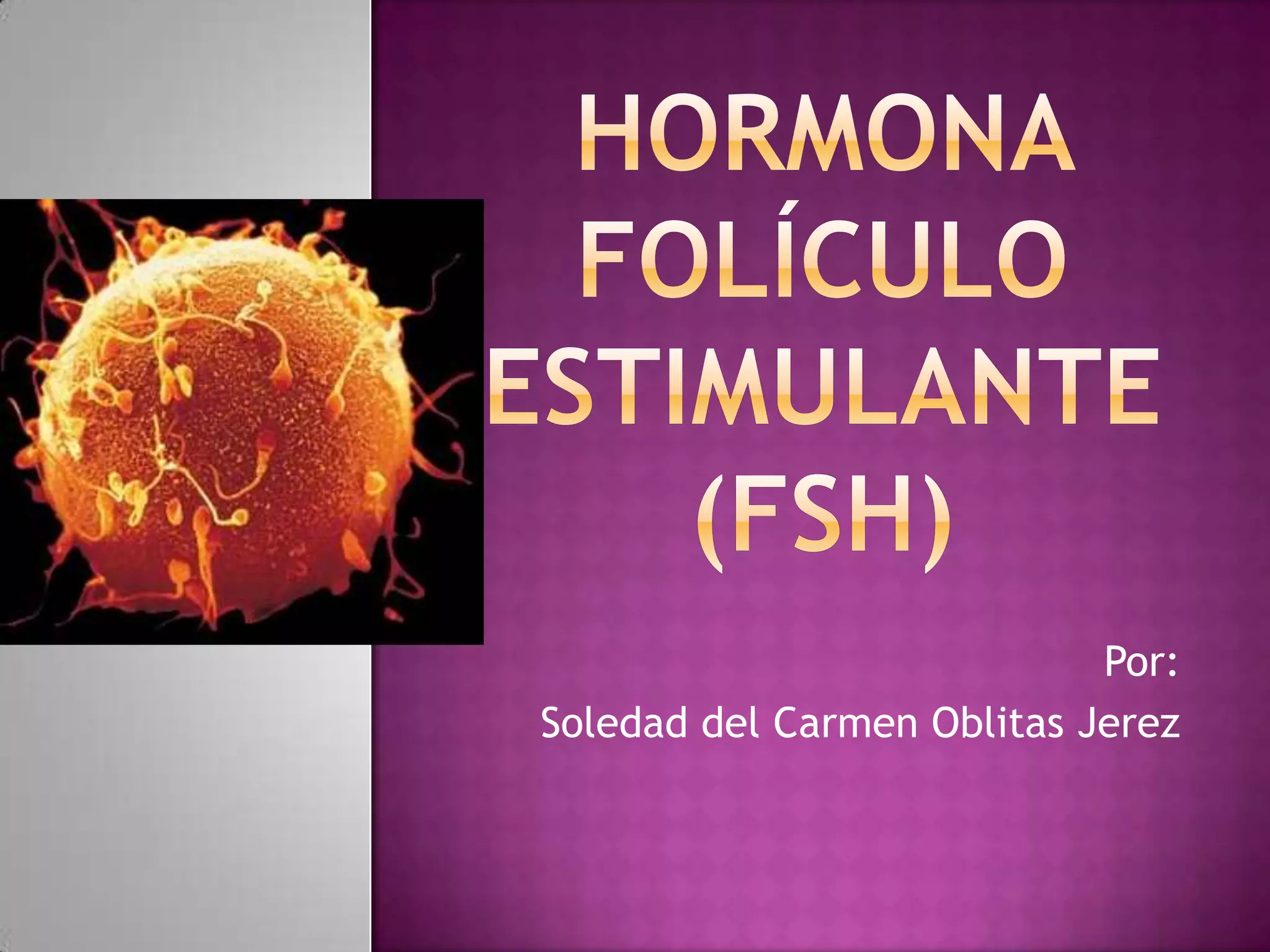 Hormona folículo estimulante | PPT