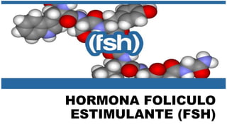 HORMONA FOLICULO
ESTIMULANTE (FSH)
 
