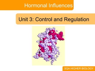 Hormonal Influences SQA HIGHER BIOLOGY Unit 3: Control and Regulation 