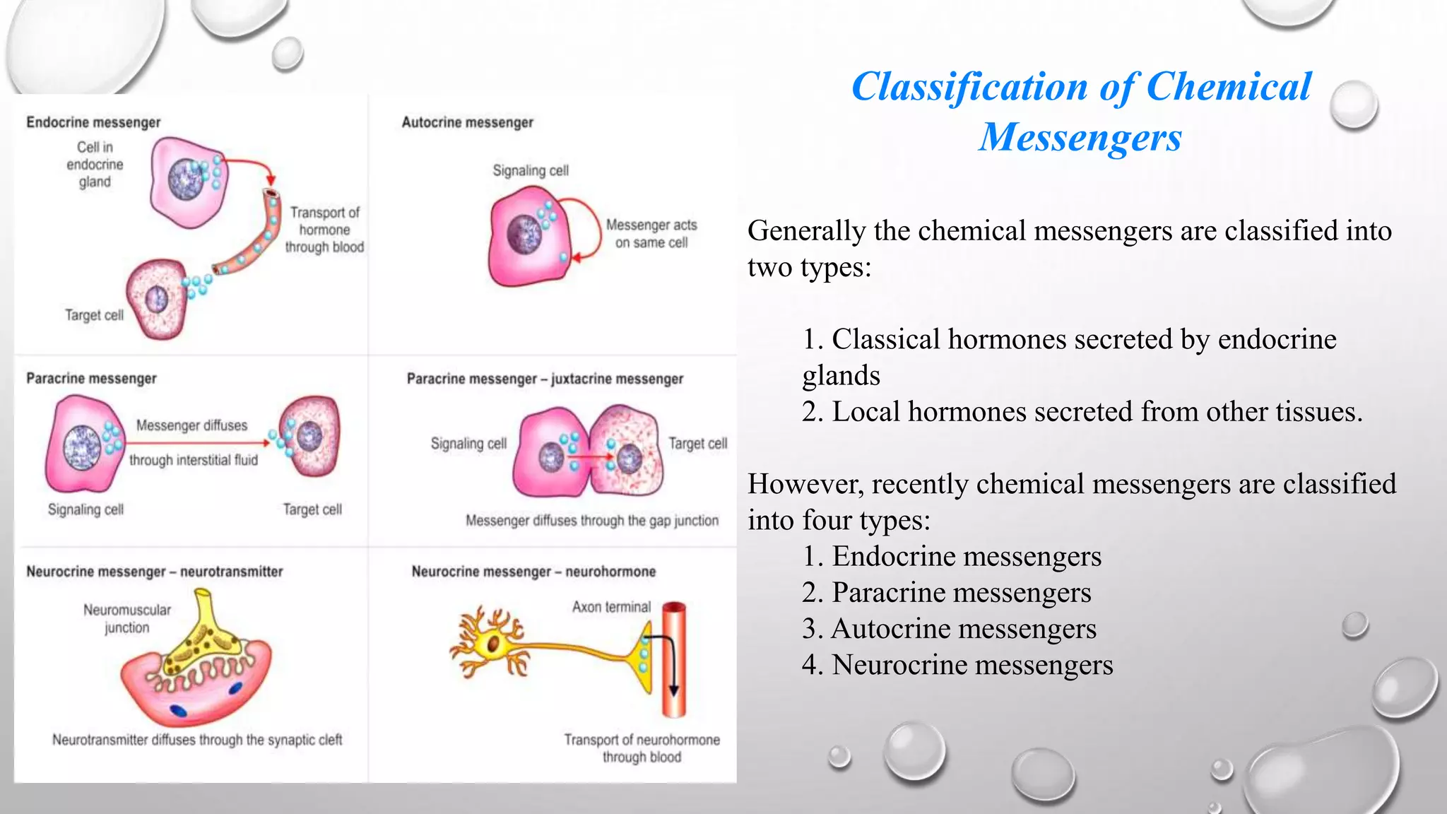 Classification of Chemical
Messengers
Generally the chemical messengers are classified into
two types:
1. Classical hormones secreted by endocrine
glands
2. Local hormones secreted from other tissues.
However, recently chemical messengers are classified
into four types:
1. Endocrine messengers
2. Paracrine messengers
3. Autocrine messengers
4. Neurocrine messengers
 