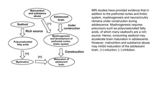 MRI studies have provided evidence that in
addition to the prefrontal cortex and limbic
system, myelinogenesis and neurocircuitry
remains under construction during
adolescence. Myelinogenesis requires
precursors such as polyunsaturated fatty
acids, of which many seafood's are a rich
source. Hence, consuming seafood may
accelerate brain maturation in adolescents.
However, malnutrition and substance abuse
may inhibit maturation of the adolescent
brain. (+) induction; (−) inhibition.
 