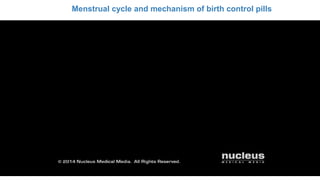 14
Menstrual cycle and mechanism of birth control pills
 