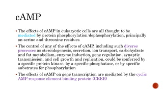 Hormonal control in transcription | PPTX