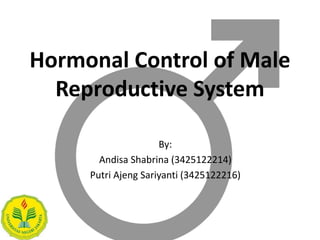 Hormonal Control of Male
Reproductive System
By:
Andisa Shabrina (3425122214)
Putri Ajeng Sariyanti (3425122216)
 