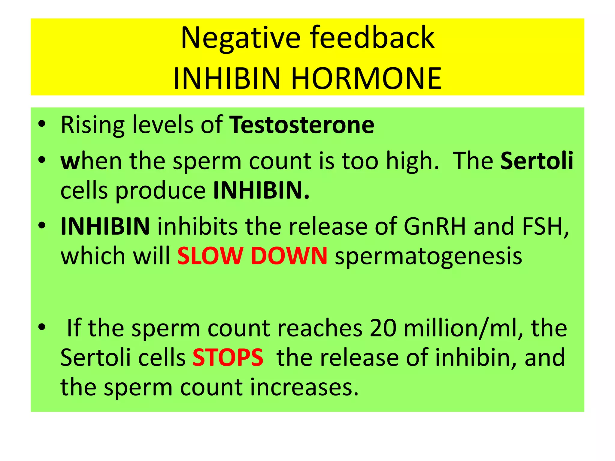 Negative feedback
INHIBIN HORMONE
• Rising levels of Testosterone
• when the sperm count is too high. The Sertoli
cells produce INHIBIN.
• INHIBIN inhibits the release of GnRH and FSH,
which will SLOW DOWN spermatogenesis
• If the sperm count reaches 20 million/ml, the
Sertoli cells STOPS the release of inhibin, and
the sperm count increases.
 