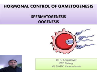 HORMONAL CONTROL OF GAMETOGENESIS
SPERMATOGENESIS
OOGENESIS
Dr. R. K. Upadhyay
PGT, Biology
KV, 39 GTC. Varanasi cantt
 
