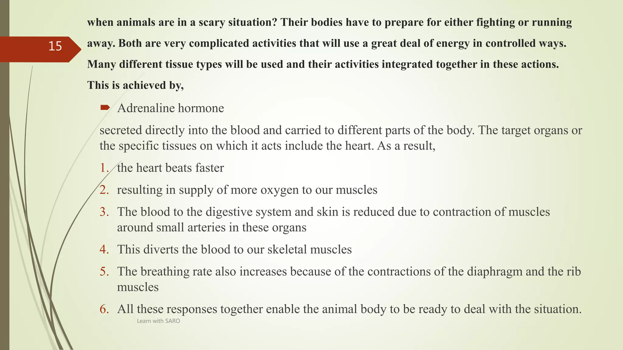Hormonal cordination in animals | PPTX