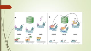 Hormonal cross between plant disease and defens epptx | PPTX