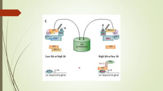 Hormonal cross between plant disease and defens epptx | PPTX