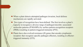Hormonal cross between plant disease and defens epptx | PPTX