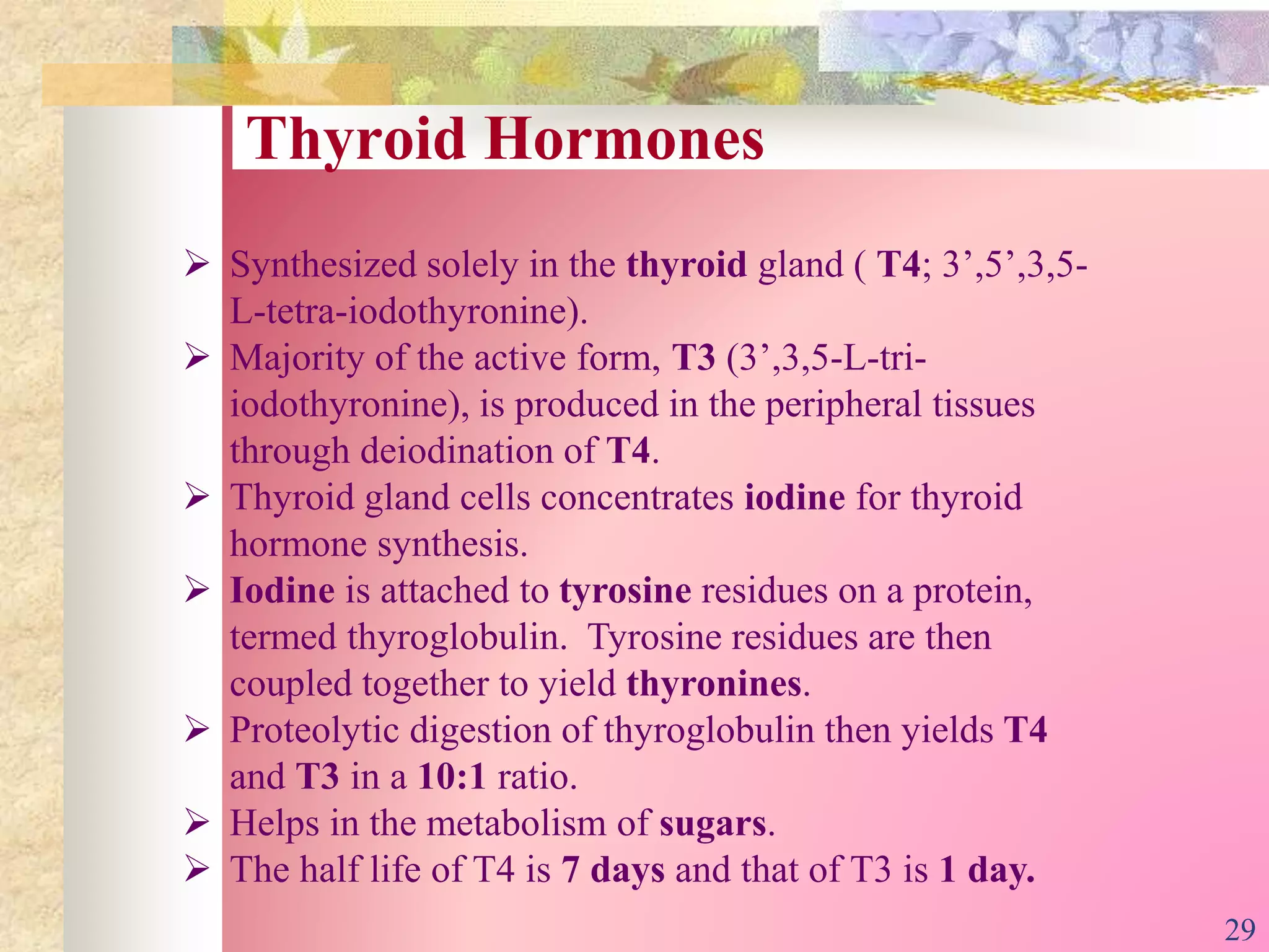 Thyroid Hormones
 Synthesized solely in the thyroid gland ( T4; 3’,5’,3,5-
L-tetra-iodothyronine).
 Majority of the active form, T3 (3’,3,5-L-tri-
iodothyronine), is produced in the peripheral tissues
through deiodination of T4.
 Thyroid gland cells concentrates iodine for thyroid
hormone synthesis.
 Iodine is attached to tyrosine residues on a protein,
termed thyroglobulin. Tyrosine residues are then
coupled together to yield thyronines.
 Proteolytic digestion of thyroglobulin then yields T4
and T3 in a 10:1 ratio.
 Helps in the metabolism of sugars.
 The half life of T4 is 7 days and that of T3 is 1 day.
29
 