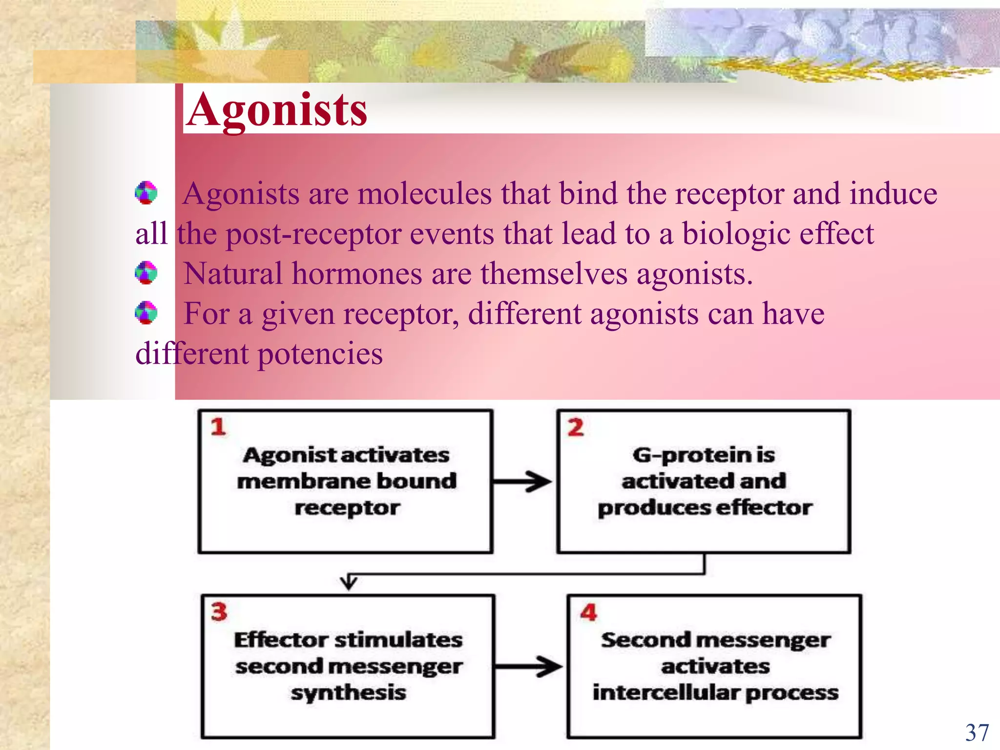 Agonists
Agonists are molecules that bind the receptor and induce
all the post-receptor events that lead to a biologic effect
Natural hormones are themselves agonists.
For a given receptor, different agonists can have
different potencies
37
 