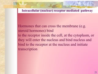 Hormones that can cross the membrane (e.g.
steroid hormones) bind
to the receptor inside the cell, at the cytoplasm, or
they will enter the nucleus and bind nucleus and
bind to the receptor at the nucleus and initiate
transcription
Intracellular (nuclear) receptor mediated pathway
21
 