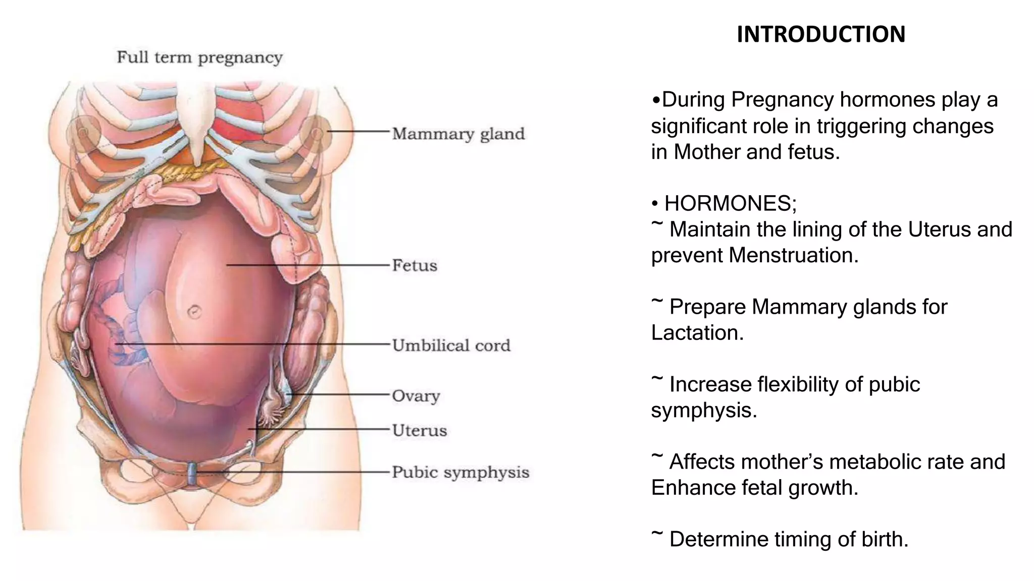 Hormonal regulation in Pregnancy.pptx | Pregnancy | Reproductive Health