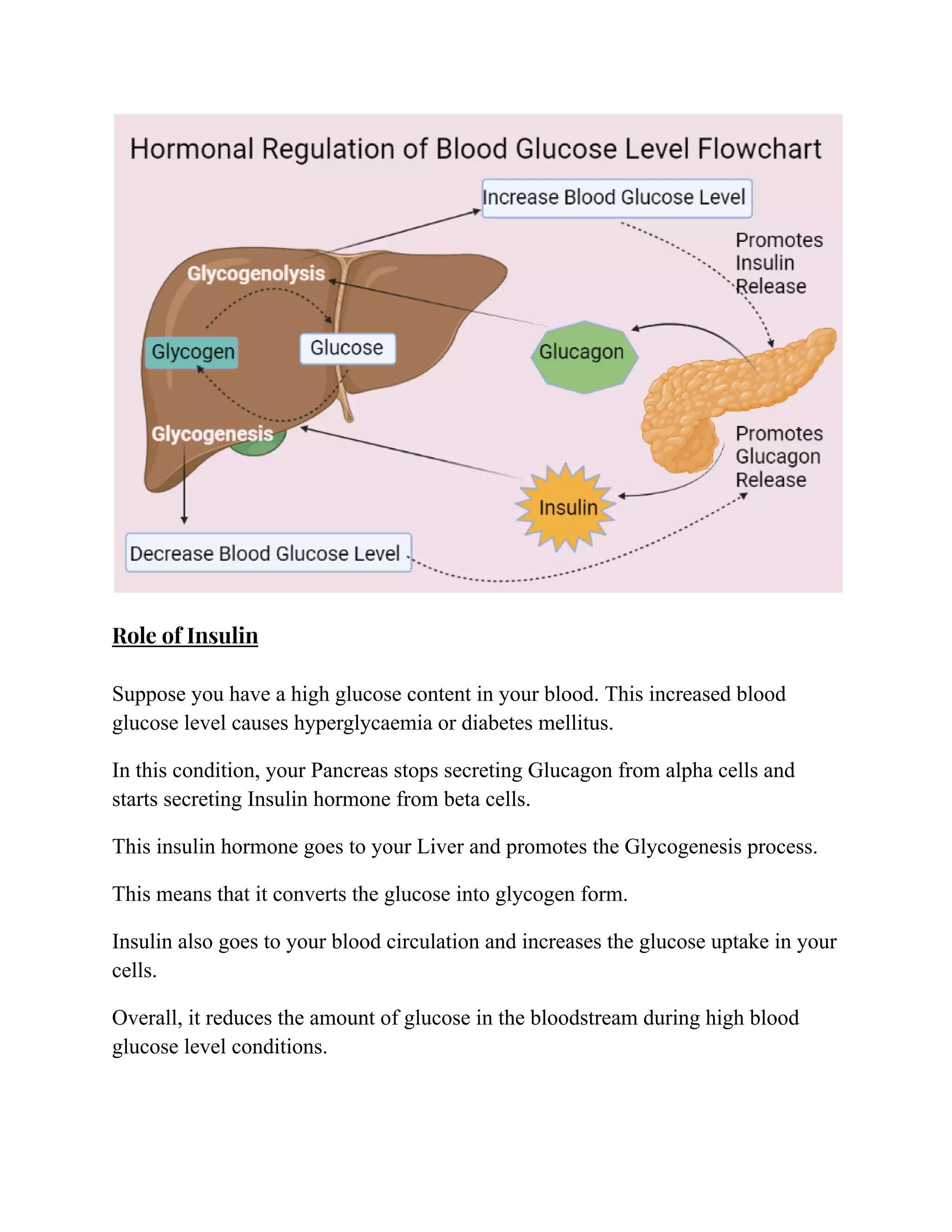 Hormonal Regulation Of Blood Glucose Level Pdf Pdf