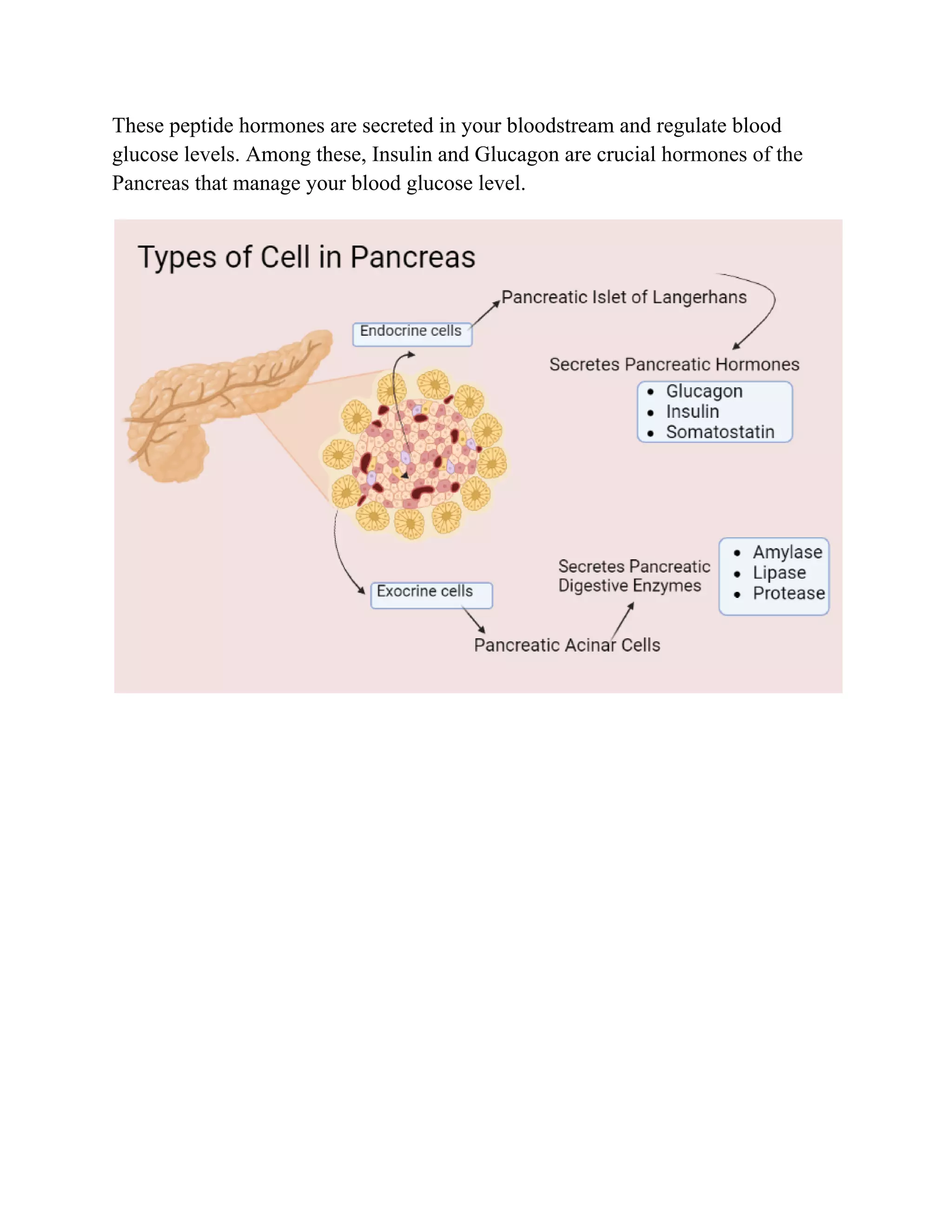 Hormonal regulation of blood glucose level_pdf.pdf