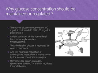 What hormones are involved in carbohydrate metabolism?