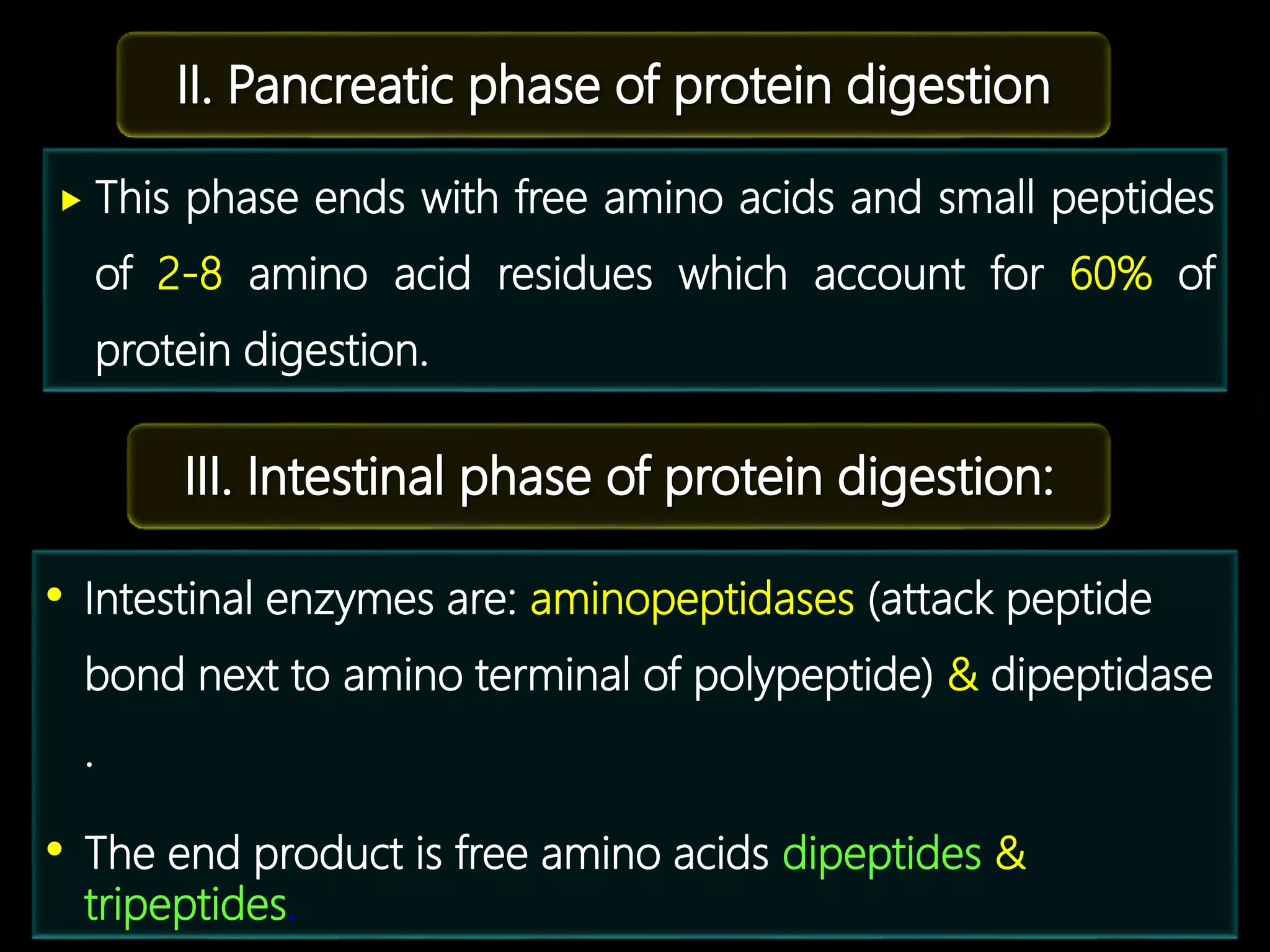 Hormonal Regulation Of Proteins Metabolism Photo Inspiration