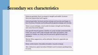 Hormonal Regulation Of Male Reproduction I Testosterone I Reproductive hormonal-regulation-of-male-reproduction-i-testosterone-i-reproductive