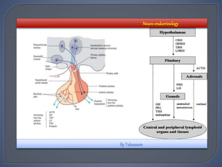 Neuro-endocrinology
 