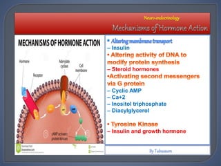 – Insulin
– Steroid hormones
– Cyclic AMP
– Ca+2
– Inositol triphosphate
– Diacylglycerol
– Insulin and growth hormone
Neuro-endocrinology
 