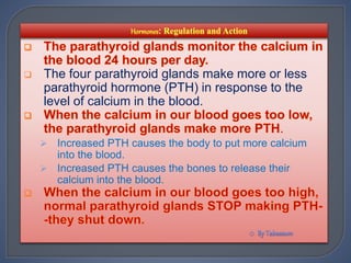  The four parathyroid glands make more or less
parathyroid hormone (PTH) in response to the
level of calcium in the blood.
.
 Increased PTH causes the body to put more calcium
into the blood.
 Increased PTH causes the bones to release their
calcium into the blood.
 