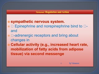  Epinephrine and norepinephrine bind to -
and
 -adrenergic receptors and bring about
changes in
 