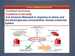 Functions in the body
It is hormone Released in response to stress and
low blood-glucose concentration. Human endocrine
system
 