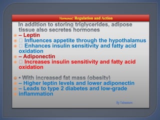  – Leptin
 Influences appetite through the hypothalamus
 Enhances insulin sensitivity and fatty acid
oxidation
 – Adiponectin
 Increases insulin sensitivity and fatty acid
oxidation

 – Higher leptin levels and lower adiponectin
 – Leads to type 2 diabetes and low-grade
 inflammation
 