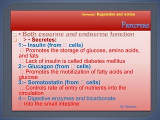  > • Secretes:
1:– Insulin (from cells)
Promotes the storage of glucose, amino acids,
and fats
Lack of insulin is called diabetes mellitus
2:– Glucagon (from cells)
Promotes the mobilization of fatty acids and
glucose
3:– Somatostatin (from cells)
Controls rate of entry of nutrients into the
circulation
4:– Digestive enzymes and bicarbonate
Into the small intestine
 