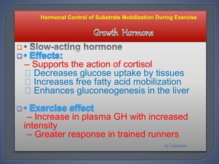 
– Supports the action of cortisol
Decreases glucose uptake by tissues
Increases free fatty acid mobilization
Enhances gluconeogenesis in the liver
– Increase in plasma GH with increased
intensity
– Greater response in trained runners
Hormonal Control of Substrate Mobilization During Exercise
 