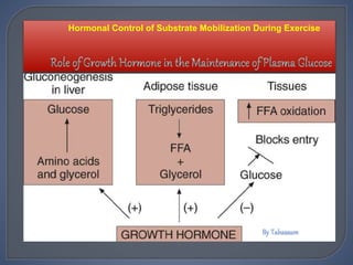 Hormonal Control of Substrate Mobilization During Exercise
 