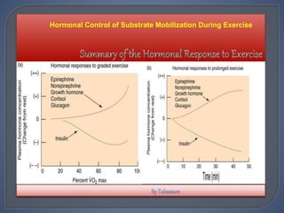 Hormonal Control of Substrate Mobilization During Exercise
 