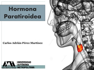 Hormona
Paratiroidea
Carlos Adrián Pérez Martínez
 