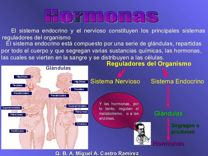 Acné y hormonas