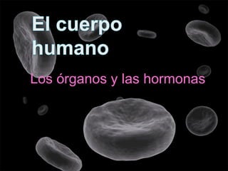 Los  órganos  y las hormonas 