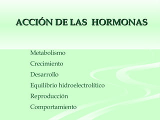 ACCIÓN DE LAS  HORMONAS Metabolismo Crecimiento Desarrollo Equilibrio hidroelectrolítico Reproducción Comportamiento 
