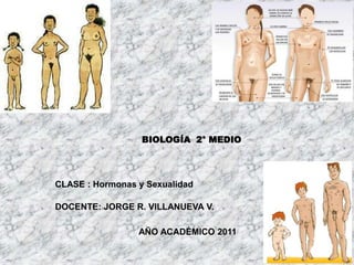 BIOLOGÍA 2° MEDIO




CLASE : Hormonas y Sexualidad

DOCENTE: JORGE R. VILLANUEVA V.

                 AÑO ACADÉMICO 2011
 