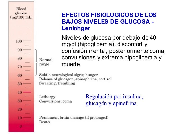 Un curso corto en dieta metabolismo acelerado libro