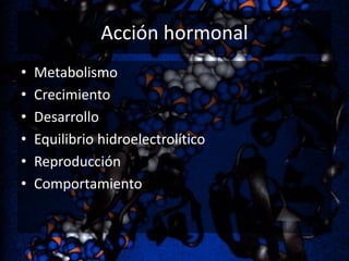 Acción hormonal
•
•
•
•
•
•

Metabolismo
Crecimiento
Desarrollo
Equilibrio hidroelectrolítico
Reproducción
Comportamiento

 