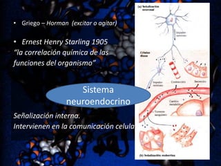 • Griego – Horman (excitar o agitar)

• Ernest Henry Starling 1905
“la correlación química de las
funciones del organismo”

Sistema
neuroendocrino
Señalización interna.
Intervienen en la comunicación celular

 