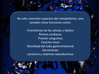 No sólo controlan aspectos del metabolismo, sino
también otras funciones como:
Crecimiento de las células y tejidos
Ritmos cardiacos
Presión sanguínea
Función renal
Movilidad del tubo gastrointestinal
Secreciones
Lactancia y sistemas reproductivos

 