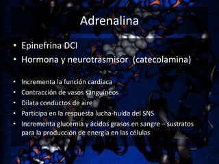 Adrenalina
• Epinefrina DCI
• Hormona y neurotrasmisor (catecolamina)
•
•
•
•
•

Incrementa la función cardiaca
Contracción de vasos sanguíneos
Dilata conductos de aire
Participa en la respuesta lucha-huída del SNS
Incrementa glucemia y ácidos grasos en sangre – sustratos
para la producción de energía en las células

 