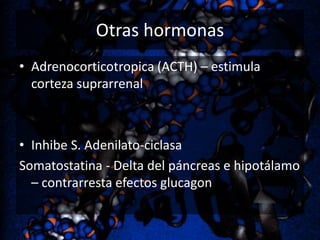 Otras hormonas
• Adrenocorticotropica (ACTH) – estimula
corteza suprarrenal

• Inhibe S. Adenilato-ciclasa
Somatostatina - Delta del páncreas e hipotálamo
– contrarresta efectos glucagon

 