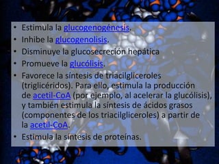 •
•
•
•
•

Estimula la glucogenogénesis.
Inhibe la glucogenolisis.
Disminuye la glucosecreción hepática
Promueve la glucólisis.
Favorece la síntesis de triacilgliceroles
(triglicéridos). Para ello, estimula la producción
de acetil-CoA (por ejemplo, al acelerar la glucólisis),
y también estimula la síntesis de ácidos grasos
(componentes de los triacilgliceroles) a partir de
la acetil-CoA.
• Estimula la síntesis de proteínas.

 