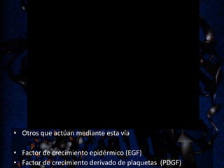 • Otros que actúan mediante esta vía
• Factor de crecimiento epidérmico (EGF)
• Factor de crecimiento derivado de plaquetas (PDGF)

 