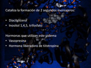 Cataliza la formación de 2 segundos mensajeros:
• Diacilglicerol
• Inositol 1,4,5, trifosfato
Hormonas que utilizan este sistema
• Vasopresina
• Hormona liberadora de tirotropina

 