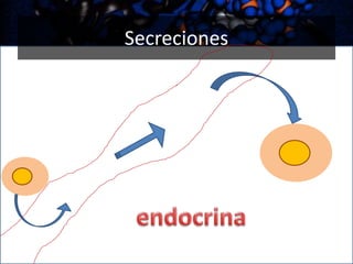 Secreciones

 