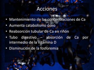 Acciones
•
•
•
•

Mantenimiento de las concentraciones de Ca
Aumenta catabolismo óseo
Reabsorción tubular de Ca en riñón
Tubo digestivo – absorción de Ca por
intermedio de la vitamina D
• Disminución de la fosforemia

 